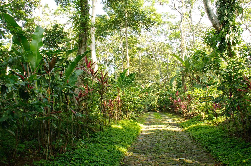 Takalik Maya Lodge El Asintal Exterior foto